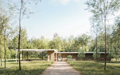 Mattinson Associates – Isle of Wight