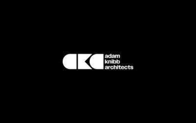 Experienced Architect
