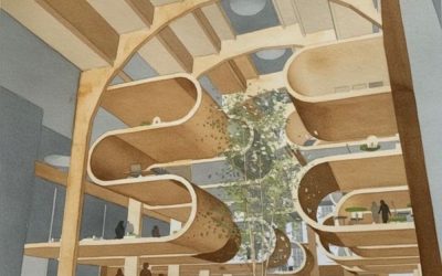 Organic multi‑level timber atrium with sculptural walkways and central tree featured in Architecture Magazine.