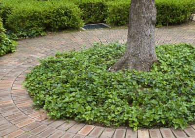 Green Space