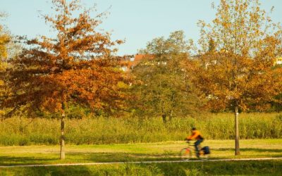 Green Space That Builds Communities