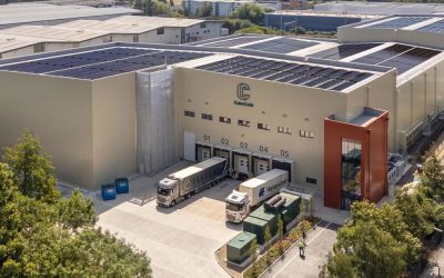 Sustainable Thinking Starts Under the Box