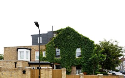 Victorian Home, Industrial Style Modern Edge