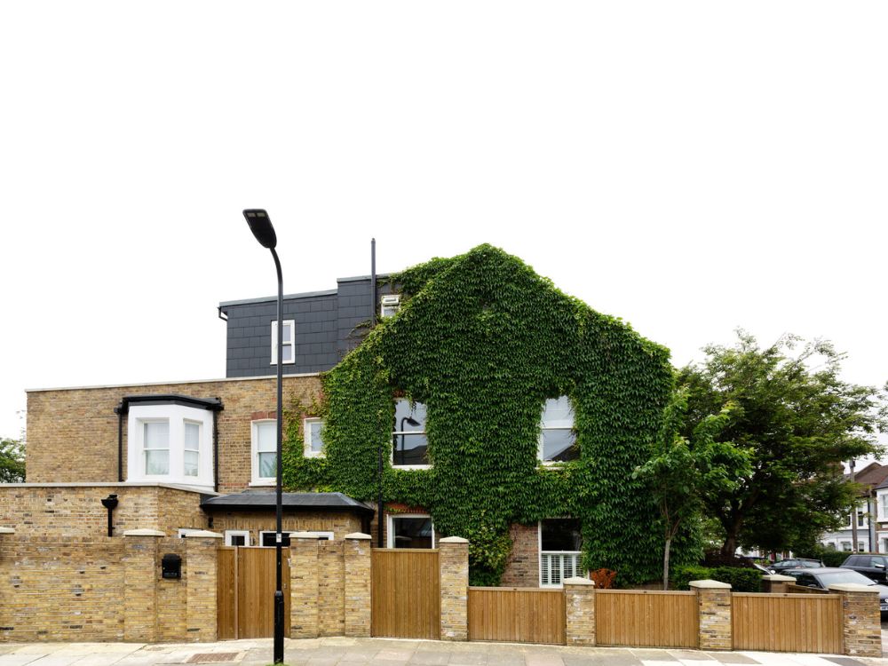 ivy covered house